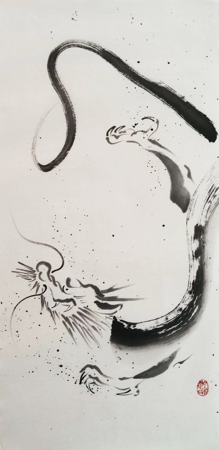 Dragón 35 x 70