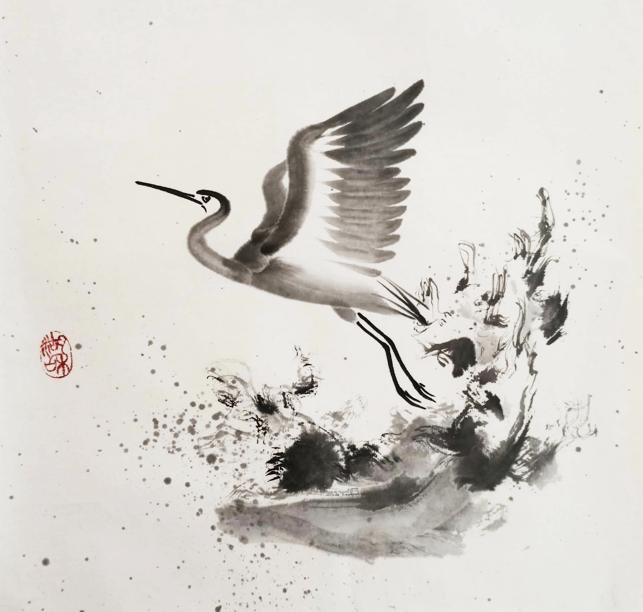 Garza al atardecer 36 x 36