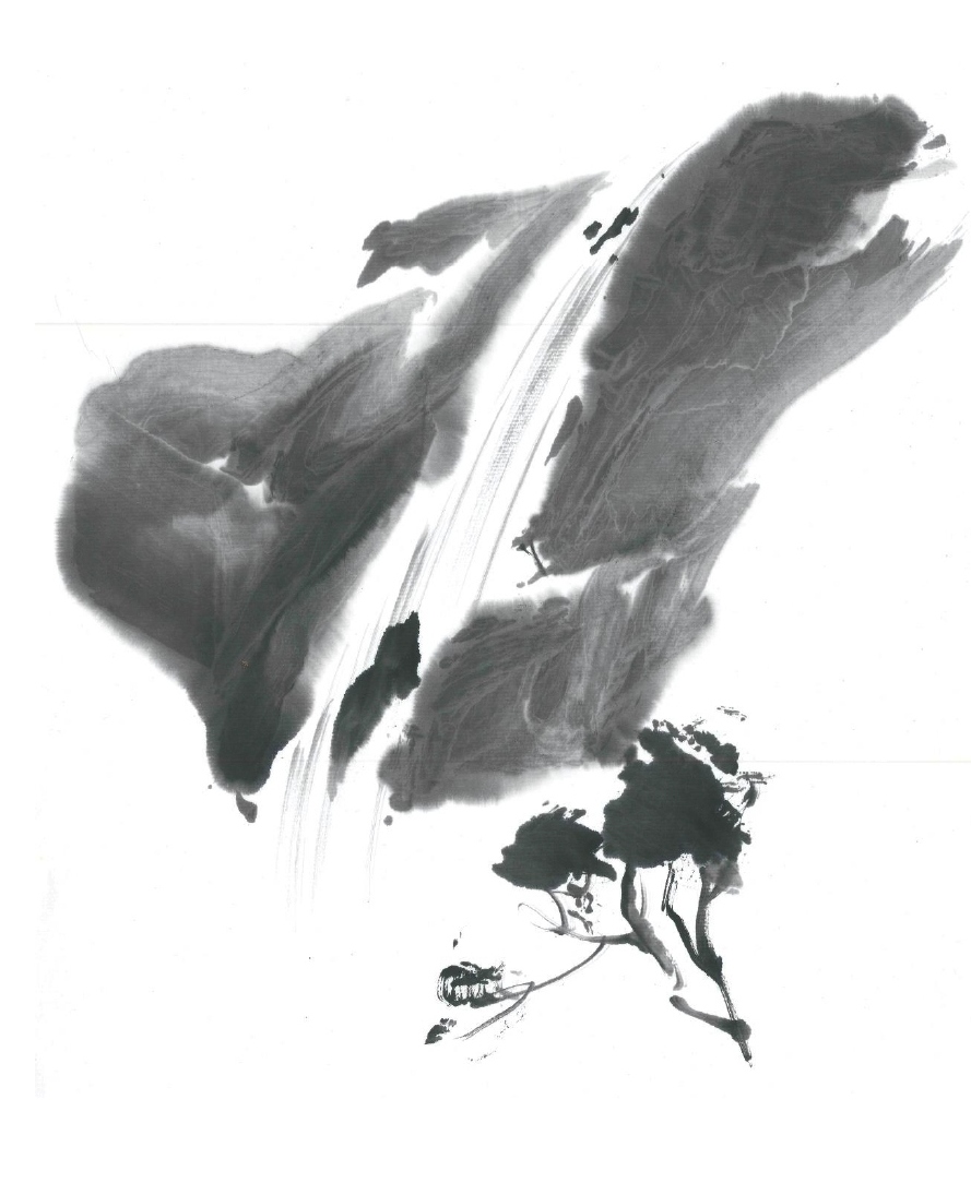 Gran cascada 39 x 54