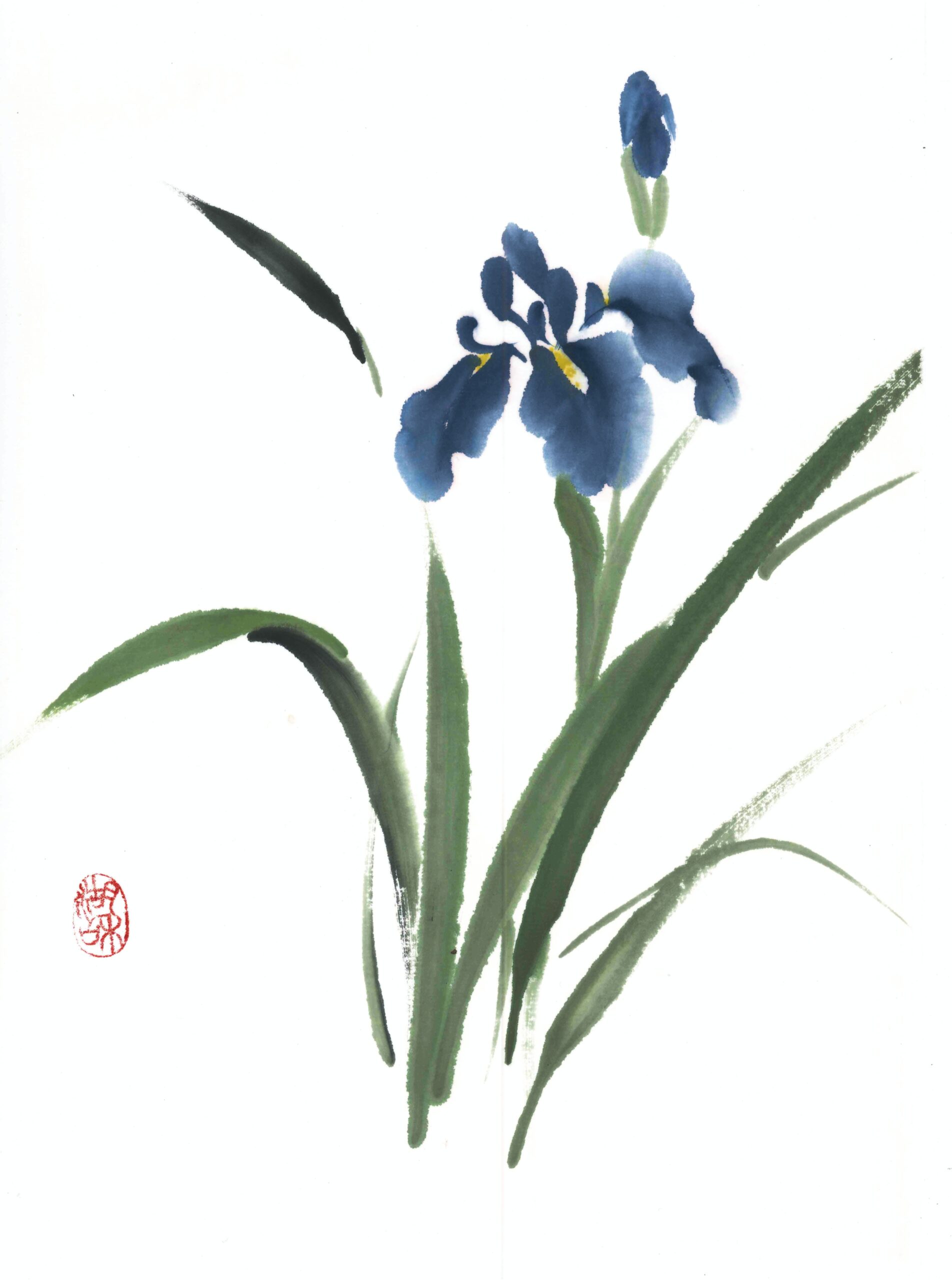 Hanashobu 29 x 39