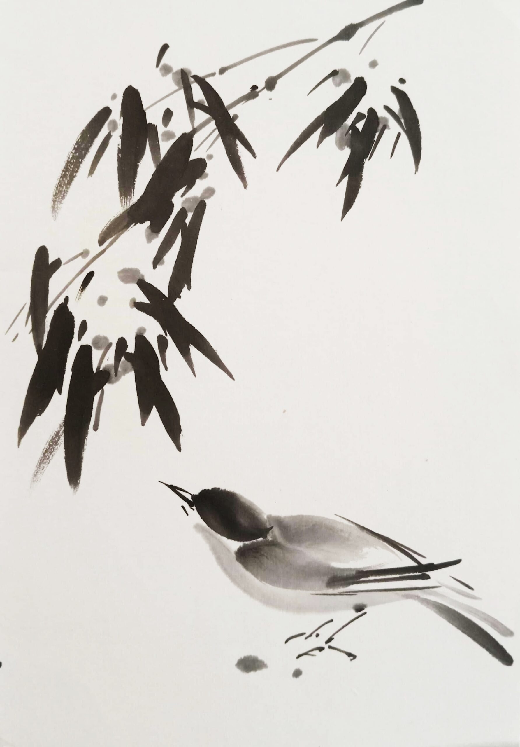 Pájaro con ramita de nieve 18 x 18