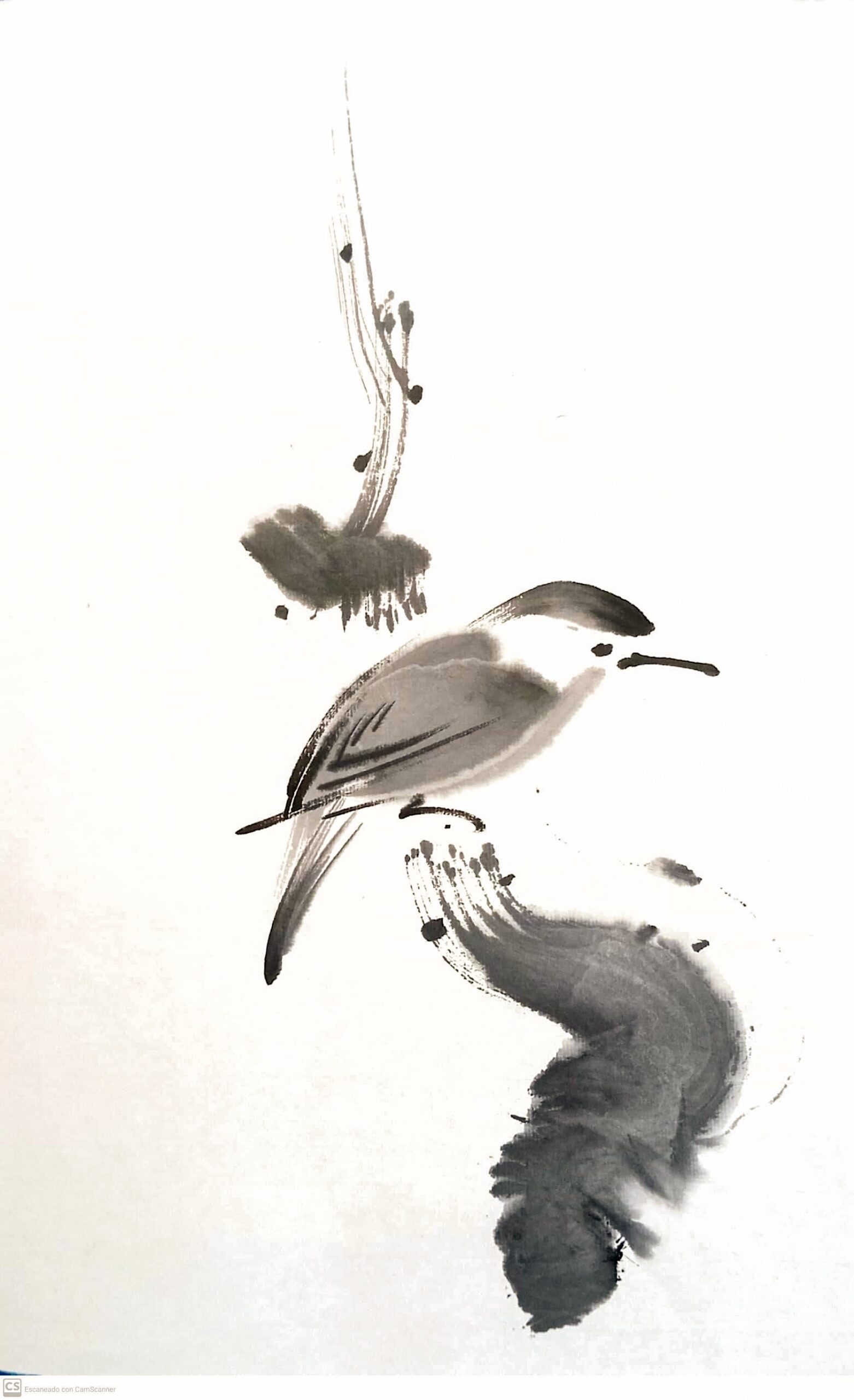 Pájaro zen 21 x 34 El Pájaro voló